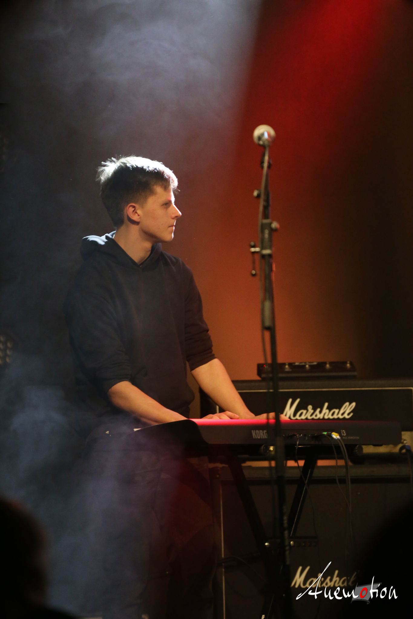 ElephantsFalling (12)